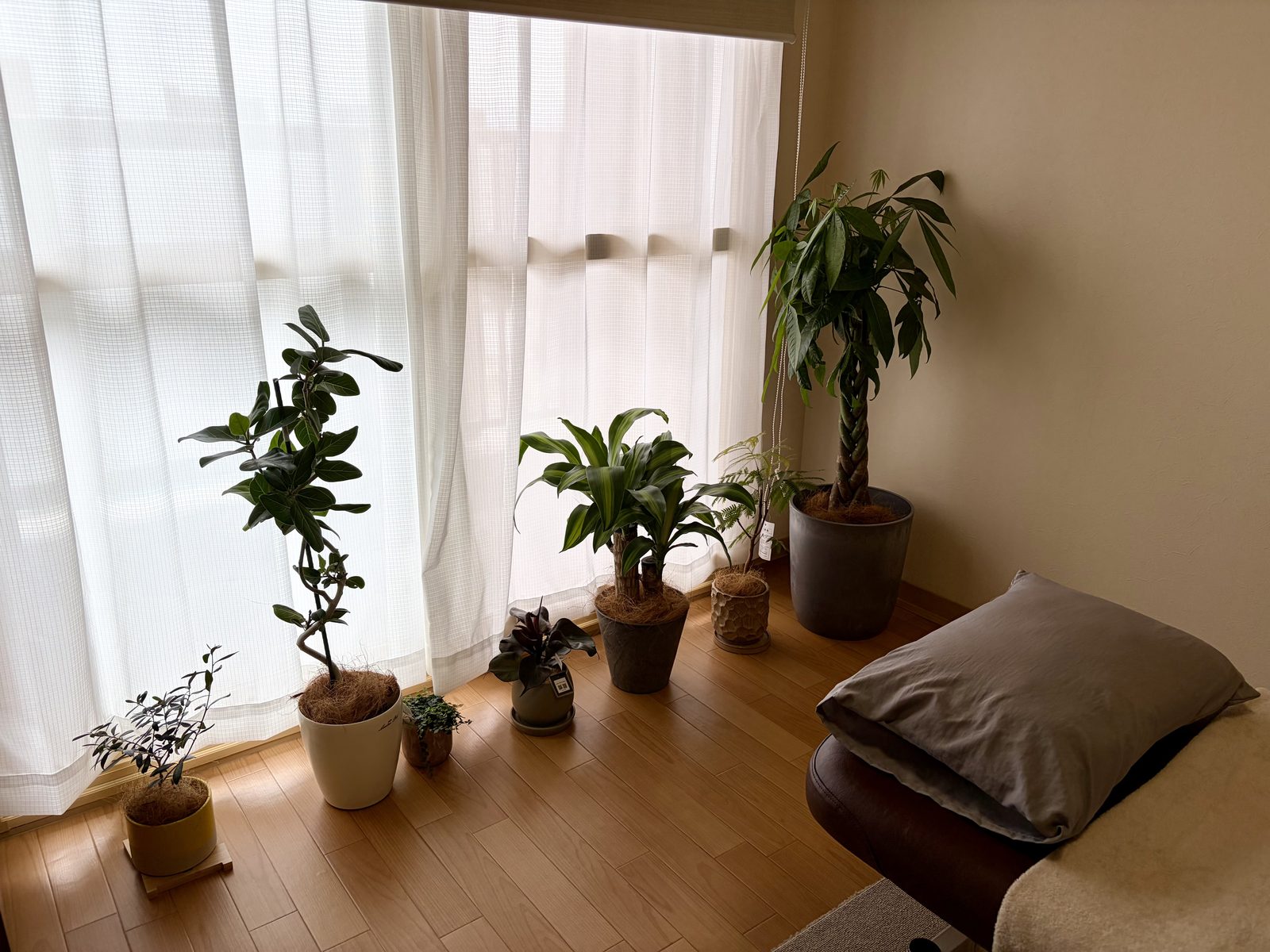 施術室の様子